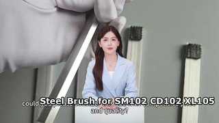 Cepillo de acero para máquina de impresión SM102 CD102 XL105 XL106 66.024.024 de alta calidad